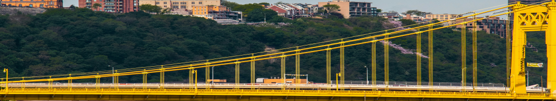 header_Our_Team_CSMcKee